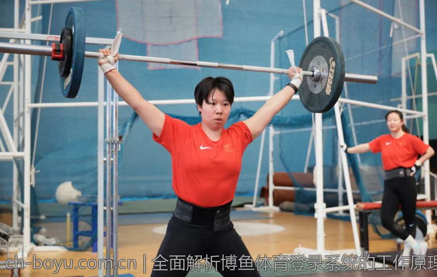 全面解析博鱼体育登录系统的工作原理
